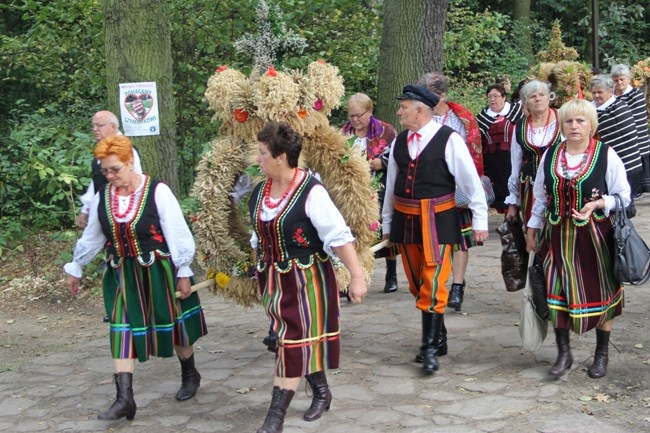 Chleb w roli głównej