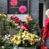 Wystawa róż w holu Kutnowskiego Domu Kultury