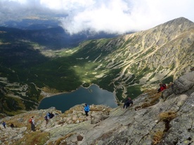 Skoki nad przepaścią i pies