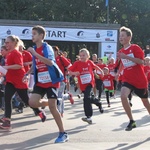 Wrocławski Maraton