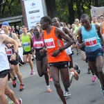 Wrocławski Maraton