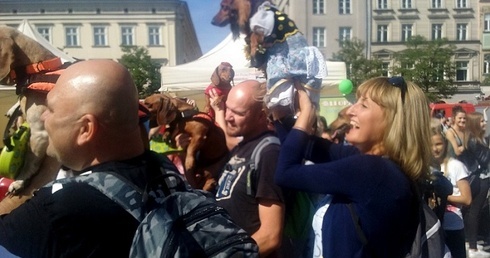 Jamnik rządzi