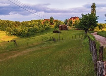 Dom Franja Buganika,  jak większość gospodarstw w Celinovacu, jest położony na wzgórzu. Prowadzi do niego malownicza droga wśród drzew
