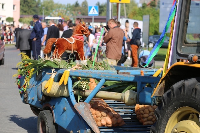 Dożynki diecezjalne w Strumieniu - cz.1