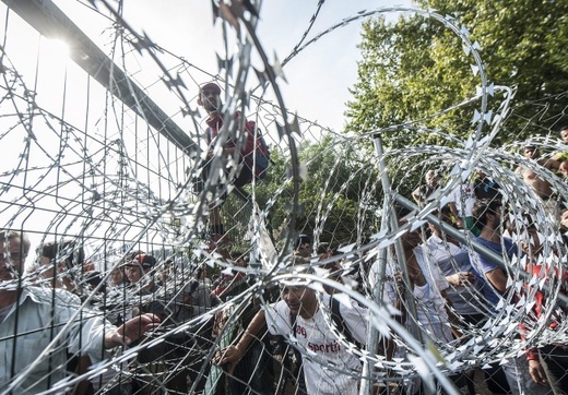 Starcia z imigrantami na granicy serbsko-węgierskiej