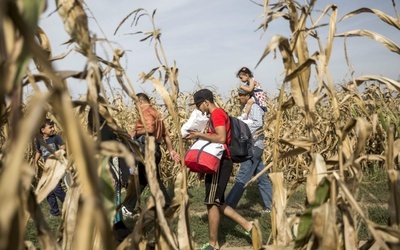 Przemocą nie można rozwiązać konfliktu w Syrii