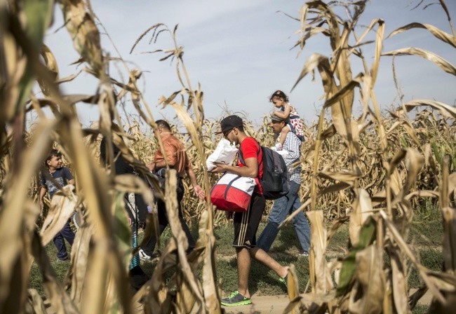 Przemocą nie można rozwiązać konfliktu w Syrii