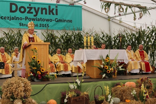 Dożynki diecezjalne w Strumieniu - cz.2