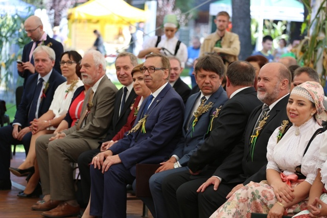 Dożynki diecezjalne w Strumieniu - cz.2