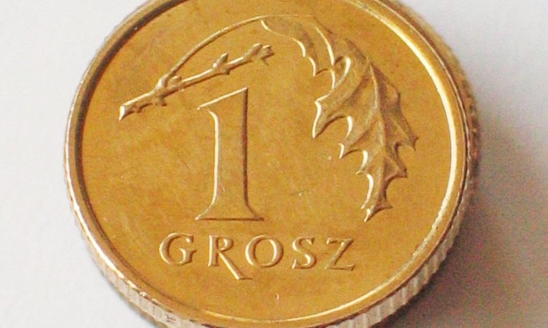 Zostań popychadłem