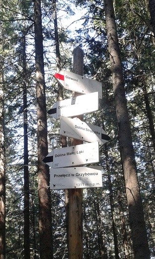 Wspomnienia wciąż żywe