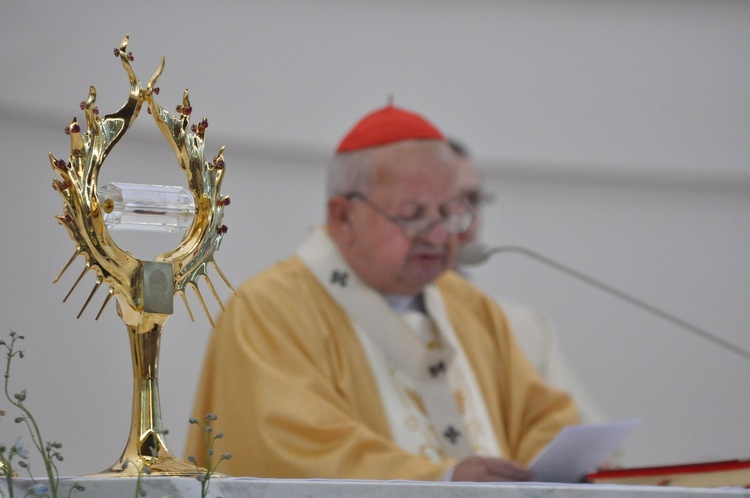 Diecezjalne dziękczynienie w Łagiewnikach