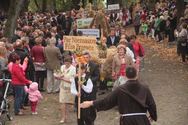 Dożynki diecezjalne' 2015