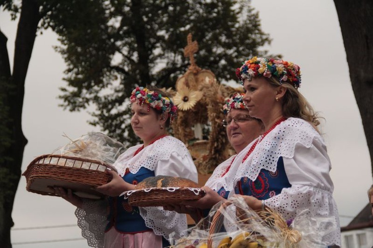 Dożynki diecezjalne' 2015