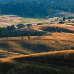 Serbia to piękny, fascynujący kraj z tragiczną historią. Jako niezależne państwo Republika Serbii powstała 5 czerwca 2006 r. 