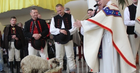 Ks. Wojciech Pal próbował porozmawiać z owieczką Baśką. Niestety - bezskutecznie