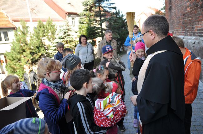 Błogosławieństwo zwierząt w Darłowie