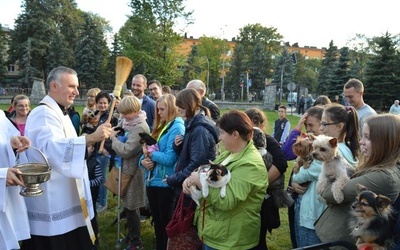 Zwierzęta na nabożeństwie