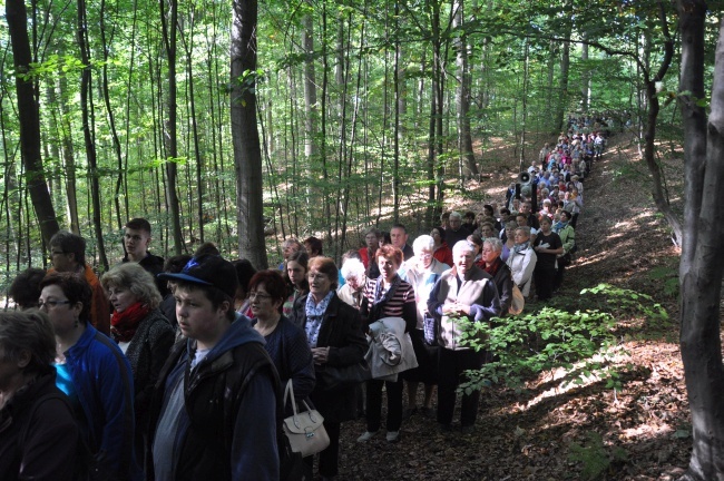 Pielgrzymka Caritas do Trzebnicy