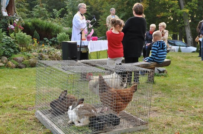 Błogosławieństwo zwierząt w Manowie