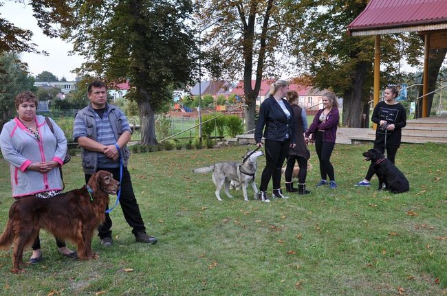 Błogosławieństwo zwierząt w Manowie