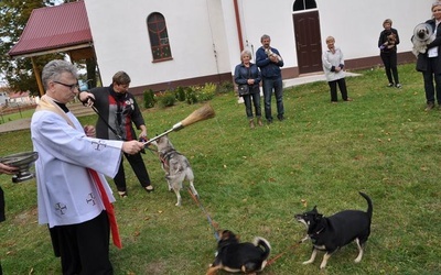 Błogosławieństwo zwierząt w Manowie