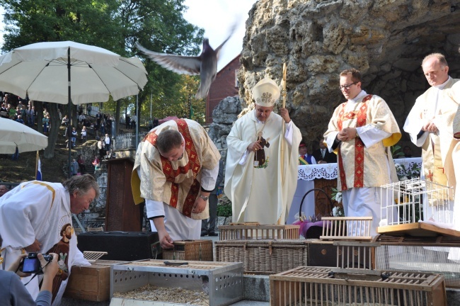 Pielgrzymka hodowców i orkiestr