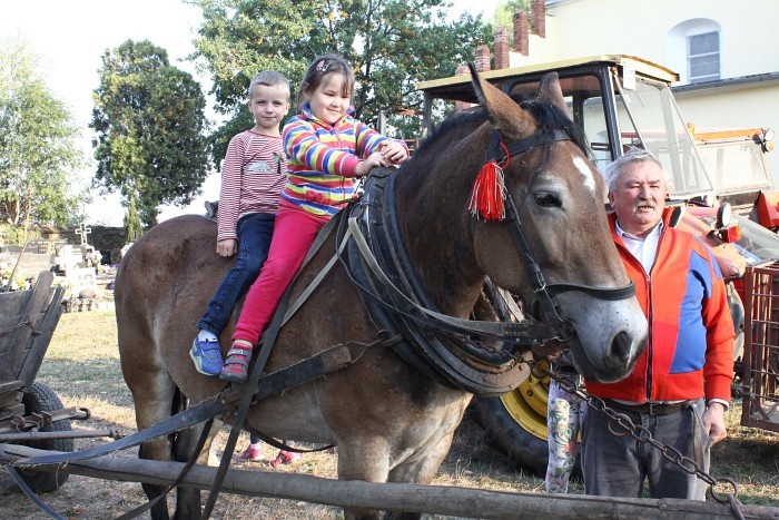 Msza św. Franciszka w Lutomii