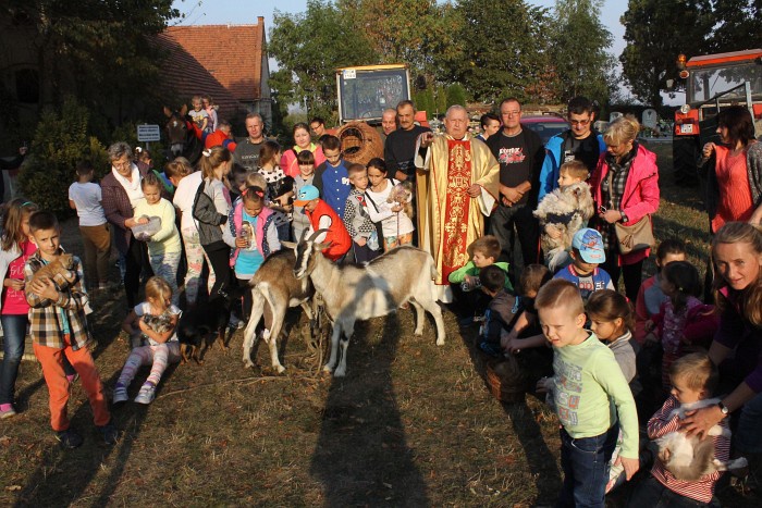 Msza św. Franciszka w Lutomii