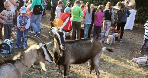 Msza św. Franciszka w Lutomii