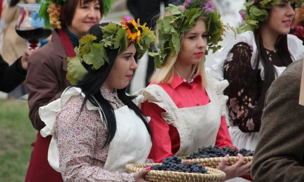 Największa winnica w Polsce