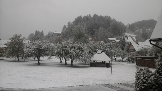 Pierwszy śnieg: zdjęcia czytelników