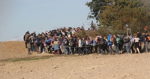 Dokonaj dobrego wyboru
