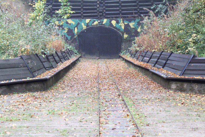 Starosta informuje o poszukiwaniach