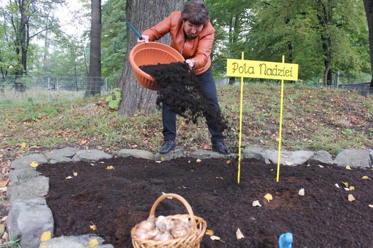 12. edycja Pól Nadziei w Bielsku-Białej