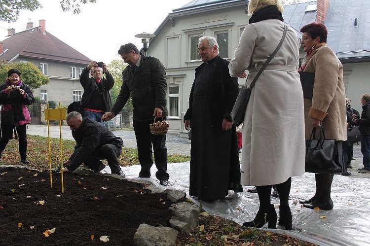 12. edycja Pól Nadziei w Bielsku-Białej