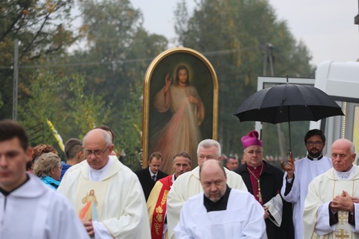 Znaki Miłosierdzia w Ustroniu-Polanie