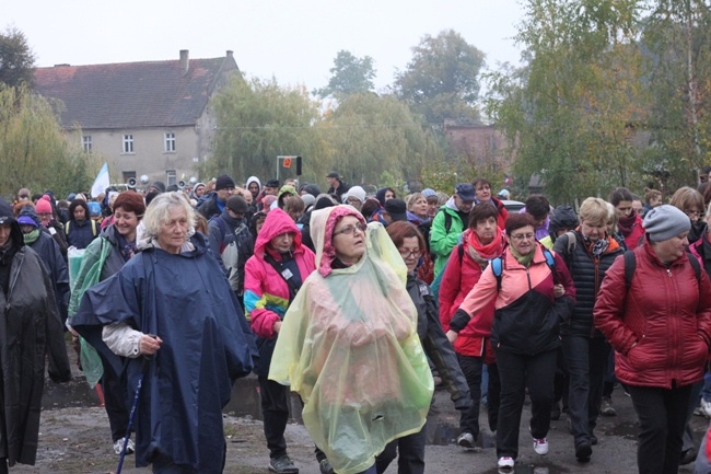 Pielgrzymka do Trzebnicy 2015 - cz. 4