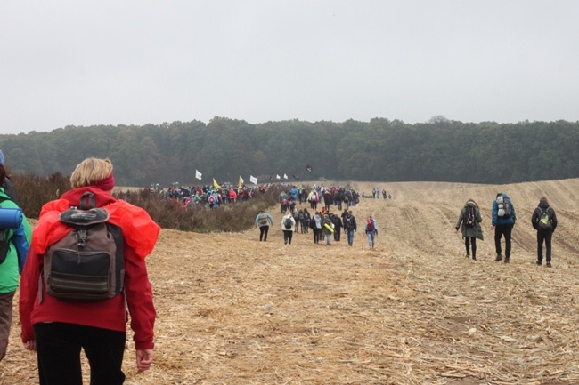 Pielgrzymka do Trzebnicy 2015 - cz. 4