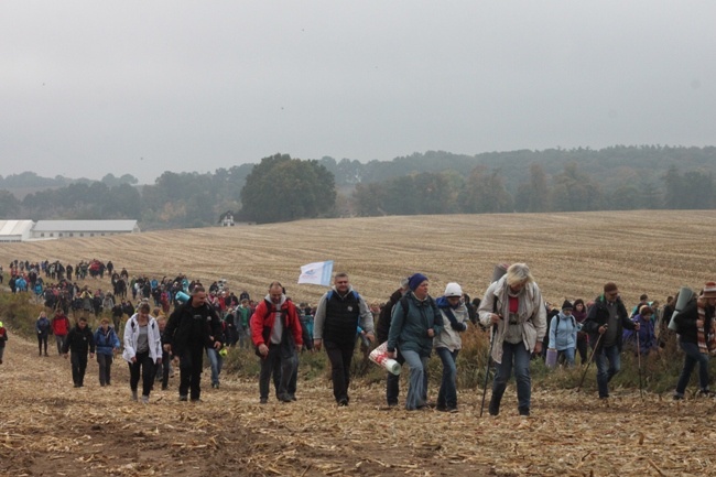 Pielgrzymka do Trzebnicy 2015 - cz. 4