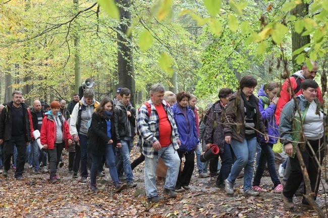 Pielgrzymka do Trzebnicy 2015 - cz. 4