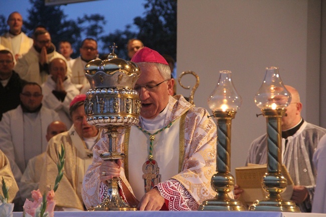 Pielgrzymka do Trzebnicy 2015 - Msza św.