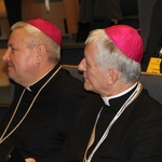 Synod o rodzinie w Katowicach