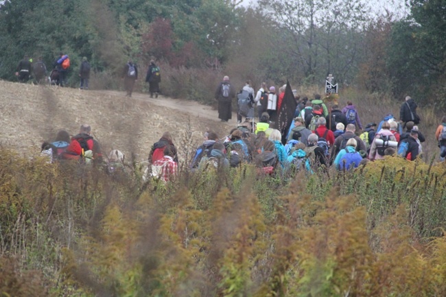 ​Pielgrzymka do Trzebnicy 2015 - cz. 5