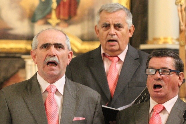 Chóry w Borku Strzelińskim