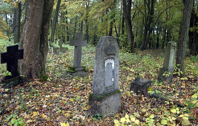 Sprzątanie cmentarza w Szczeglinie