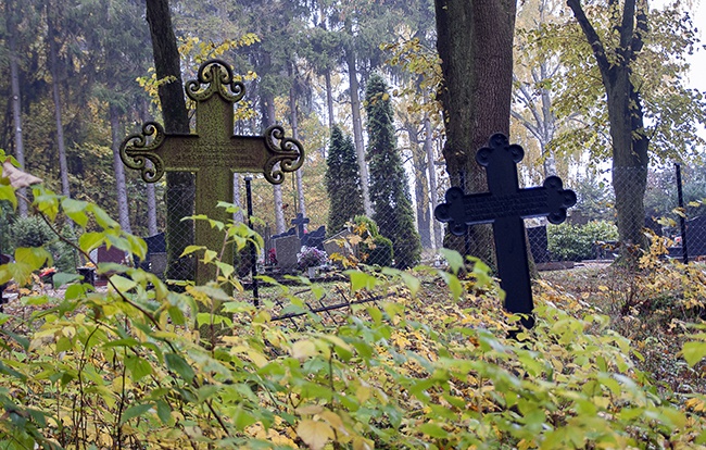 Sprzątanie cmentarza w Szczeglinie