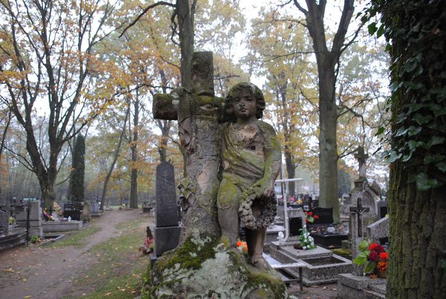 Cmentarz w Racławicach