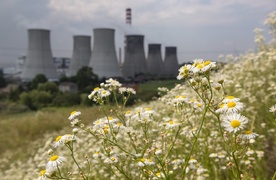 Apel biskupów przed konferencją klimatyczną 