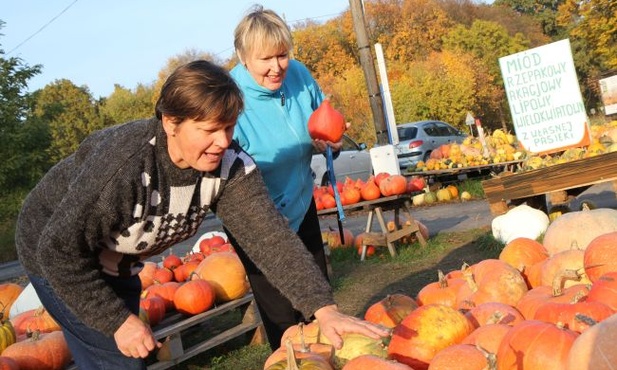 Na dynie pomysł zacny